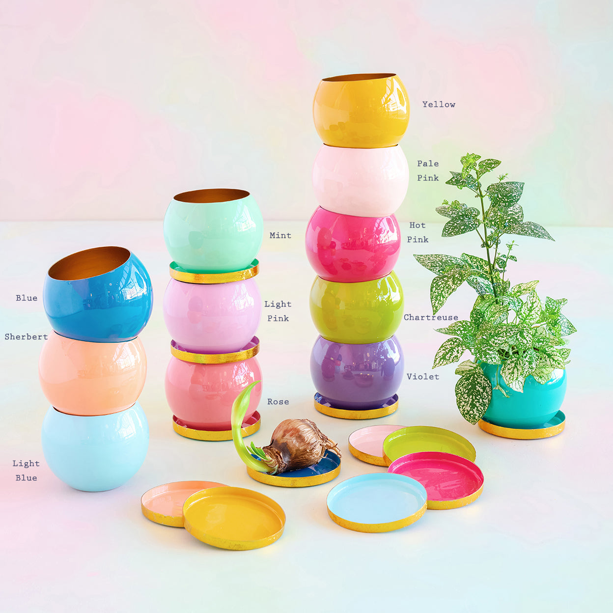 pot planter with saucer Flower Pot with Saucer