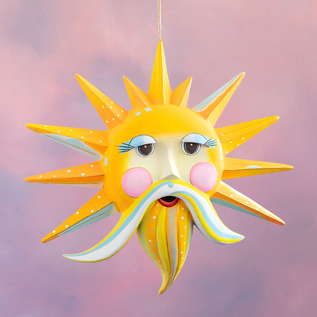 Sir Sunny Solaris Display