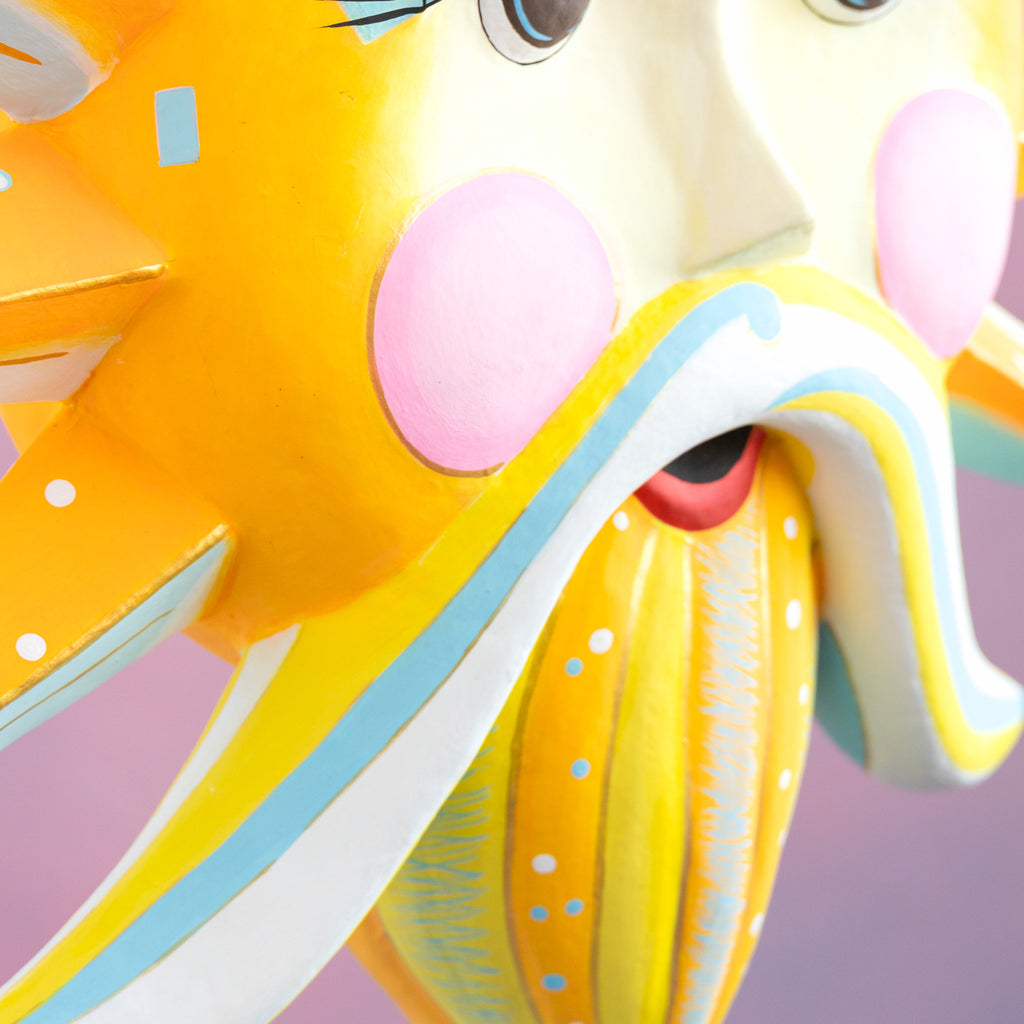 Sir Sunny Solaris Display